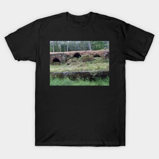 Cherry Valley Coke Ovens, Leetonia Ohio T-Shirt